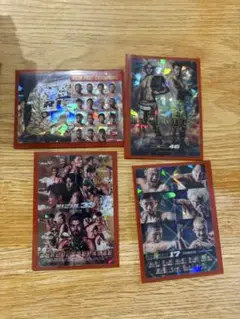 RIZIN 33 トレーディングカード セット