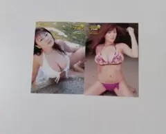 松金洋子　ヤングチャンピオン付録カード　２種