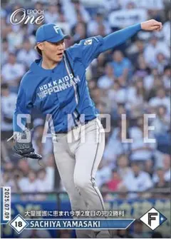 エポックワン　山崎福也　山﨑福也　今季2度目の完投勝利　日本ハムファイターズ
