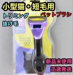 Item thumbnail for item 106d60d9-d032-4d0e-9241-9e1e5e0a47a5
