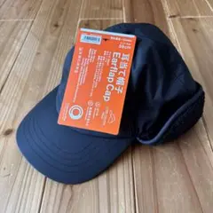 Item thumbnail for item 73840625-c3f4-4fcb-9be7-d08db5f1fb07