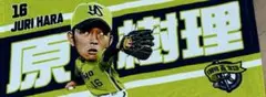 東京ヤクルトスワローズ　原樹理投手　応援タオル