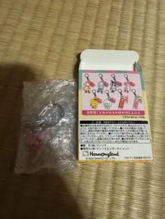 ハーモニーランド アイスフル　シークレットキーホルダーA