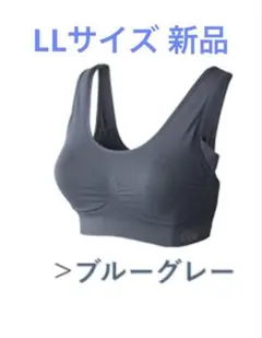 VIAGE ビューティーアップナイトブラ ブルーグレー LLサイズ