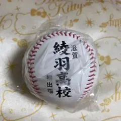 校名ボール　綾羽高校