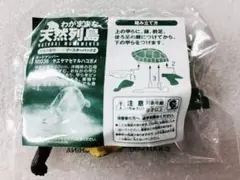 未使用　わがままな天然列島　大地の動物　ヤエヤマセマルハコガメ　海洋堂