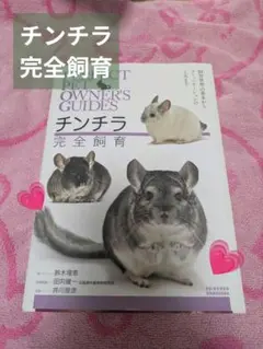 Item thumbnail for item 74eb81de-cc6d-405d-bbca-9c82307aac13