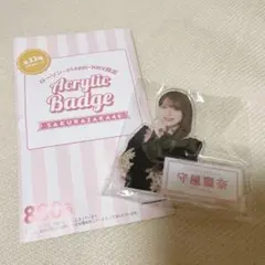 Item thumbnail for item 82081e67-d3d6-47e2-8137-0fc658bfcde5