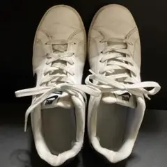Nike ホワイトスニーカー　モデルナンバー844802-100 26.0㎝