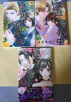 この極道調教中につき　５〜７巻セット