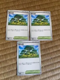 活力の森　3枚セット