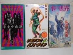 ⭐8㎝CD／3枚セット⭐筋肉少女帯