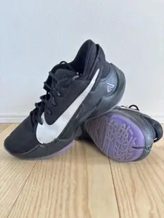 Item thumbnail for item f89d8c04-3ceb-4264-8eac-a9a14518c9c6