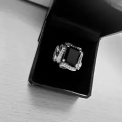 Item thumbnail for item 66029fba-24c6-4430-946e-9d3b59effc03
