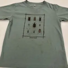 Item thumbnail for item 99ad4314-9e9a-4fec-b096-eb7df3c57447