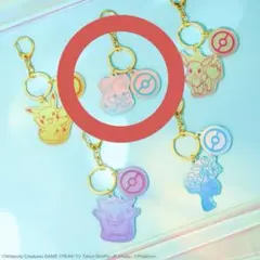 ポケモン ナムコ パモ 2連キーホルダー アクリル キーホルダー