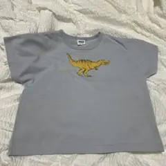 BREEZE ブリーズ キッズ トップス Tシャツ 恐竜 120cm