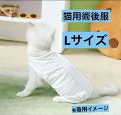 Item thumbnail for item 1353e3db-bdc9-4ecf-888a-d58d4cd2cef5