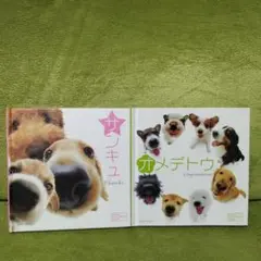 サンキュ　オメデトウ　はなデカ倶楽部　本　2冊セット