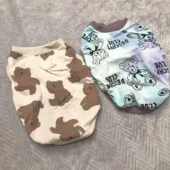 Item thumbnail for item 399ec3a7-5c9d-4128-b37c-e9a93ba6a583