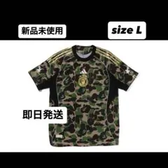 Item thumbnail for item 9f0af716-0a2b-4952-9007-644f374cb870