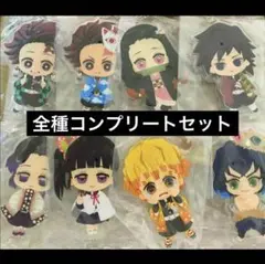 全種コンプリートセット みつめて！アクリルチャーム 鬼滅の刃