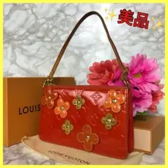 ✨美品✨ 希少 ルイヴィトン ポーチ バッグ アクセサリーポーチ ヴェル二