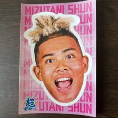北海道日本ハムファイターズ 水谷瞬 ファイターズ超夏祭りステッカー 限定