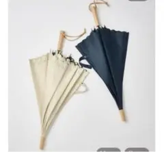 Item thumbnail for item e2087a60-19a7-4497-a4c7-527f4e33e7bb