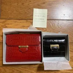 色違いセット7
