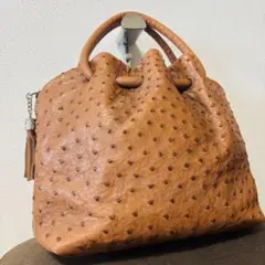 GRES ハンドバッグ グレ オーストリッチ レザー エキゾチック 希少