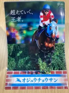 オジュウチョウサン　ヒーロー列伝クリアファイル
