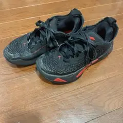 NIKE Jordan シューズ ブラック/レッド ルカ1