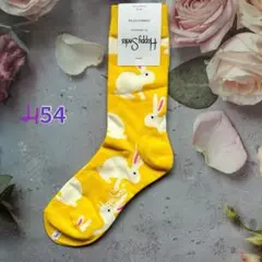 新品ハッピーソックス　H54