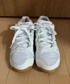 ASICS ホワイト/レッド スニーカー 体育館シューズ 室内用シューズ