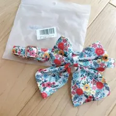 Item thumbnail for item 3f800fab-46f4-4694-9757-47e13eb0992f