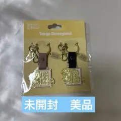 東京ディズニーランド 美女と野獣 キーホルダー2個セット