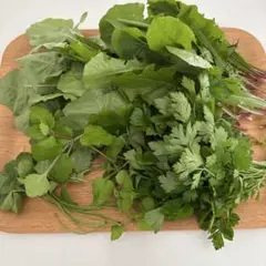 Item thumbnail for item 347a2756-8529-447b-bd55-0607f760878a