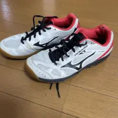 MIZUNO SKY BLASTER 26cm バドミントンシューズ