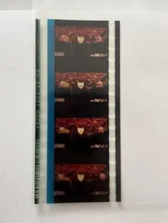 音也 スタツア コマフィルム