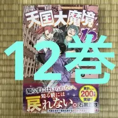 天国大魔境(12) 【美品・オビ付き・24h以内匿名発送】