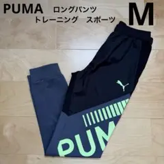 Item thumbnail for item e34753b9-4a53-47d8-9b17-654305586ebb