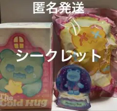 内袋未開封　Shinwoo Cold Hug シークレットMEMORY BOX