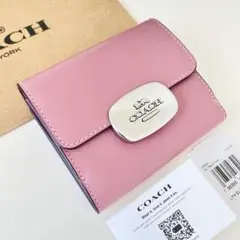 Item thumbnail for item 73a91e7b-a636-4908-91be-618cd3bd66de