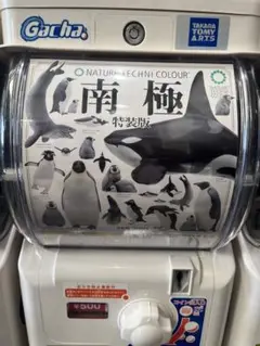 Item thumbnail for item 53d3f985-d6f0-4147-a168-8bb131054e66