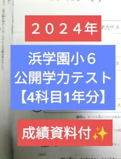 浜学園小６ 最新版2024年 公開学力テスト 4科目 1年分 成績資料付✨
