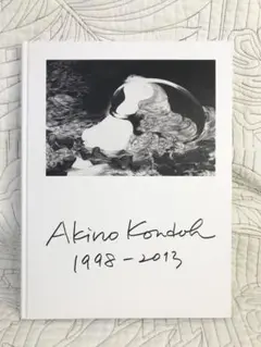 近藤聡乃作品集「Akino Kondoh 1998-2013」