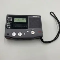 2025年最新】sony tcm-77の人気アイテム - メルカリ
