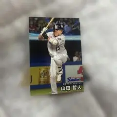 プロ野球チップスカード