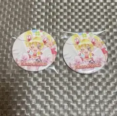 フレッシュプリキュア キュアピーチ 全プリキュア展 缶バッジ セット プリキュア